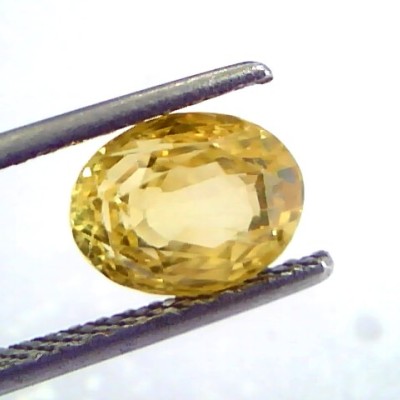 3.02 Ct IGI Certified Unheated Untreated Natural Ceylon Yellow Sapphire
