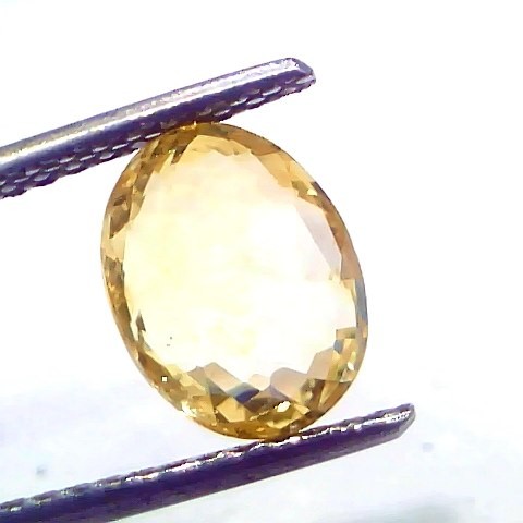 3.04 Ct IGI Certified Unheated Untreated Natural Ceylon Yellow Sapphire