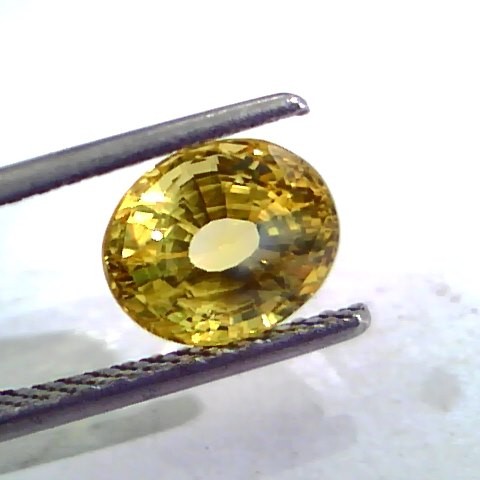 3.05 Ct Unheated Untreated Natural Ceylon Yellow Sapphire AAAAA