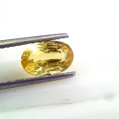 3.05 Ct 5 Ratti Unheated Untreated Natural Srilankan Yellow Sapphire