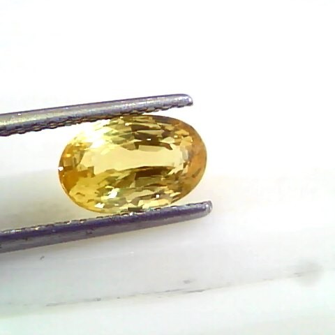3.05 Ct 5 Ratti Unheated Untreated Natural Srilankan Yellow Sapphire