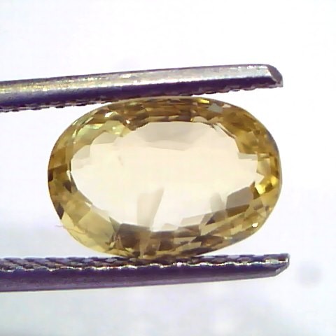 3.10 Ct GII Certified Unheated Untreated Natural Ceylon Yellow Sapphire