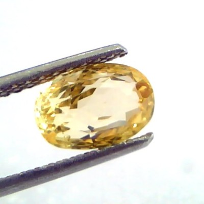 3.11 Ct IGI Certified Unheated Untreated Natural Ceylon Yellow Sapphire