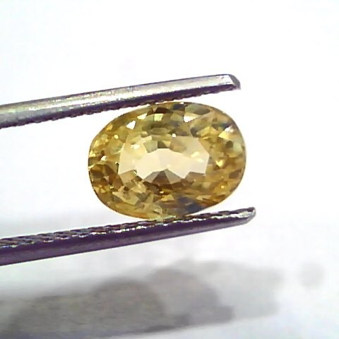 3.25 Ct IGI Certified Unheated Untreated Natural Ceylon Yellow Sapphire