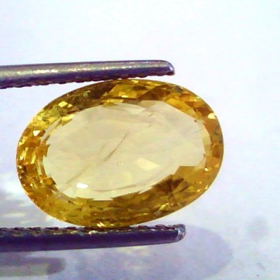 5.79 9.25 Ratti Ct Unheated Untreated Natural Ceylon Yellow Pukhraj