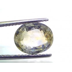 6.27 Ct Certified Unheated Natural Ceylon Yellow Blue Pitambari Sapphire